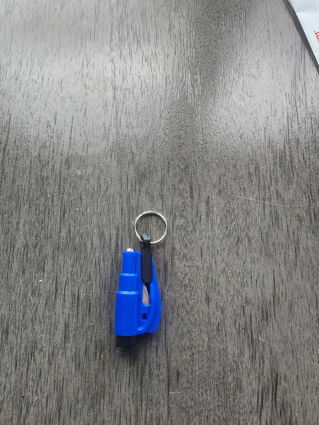 Seatbelt Cutters