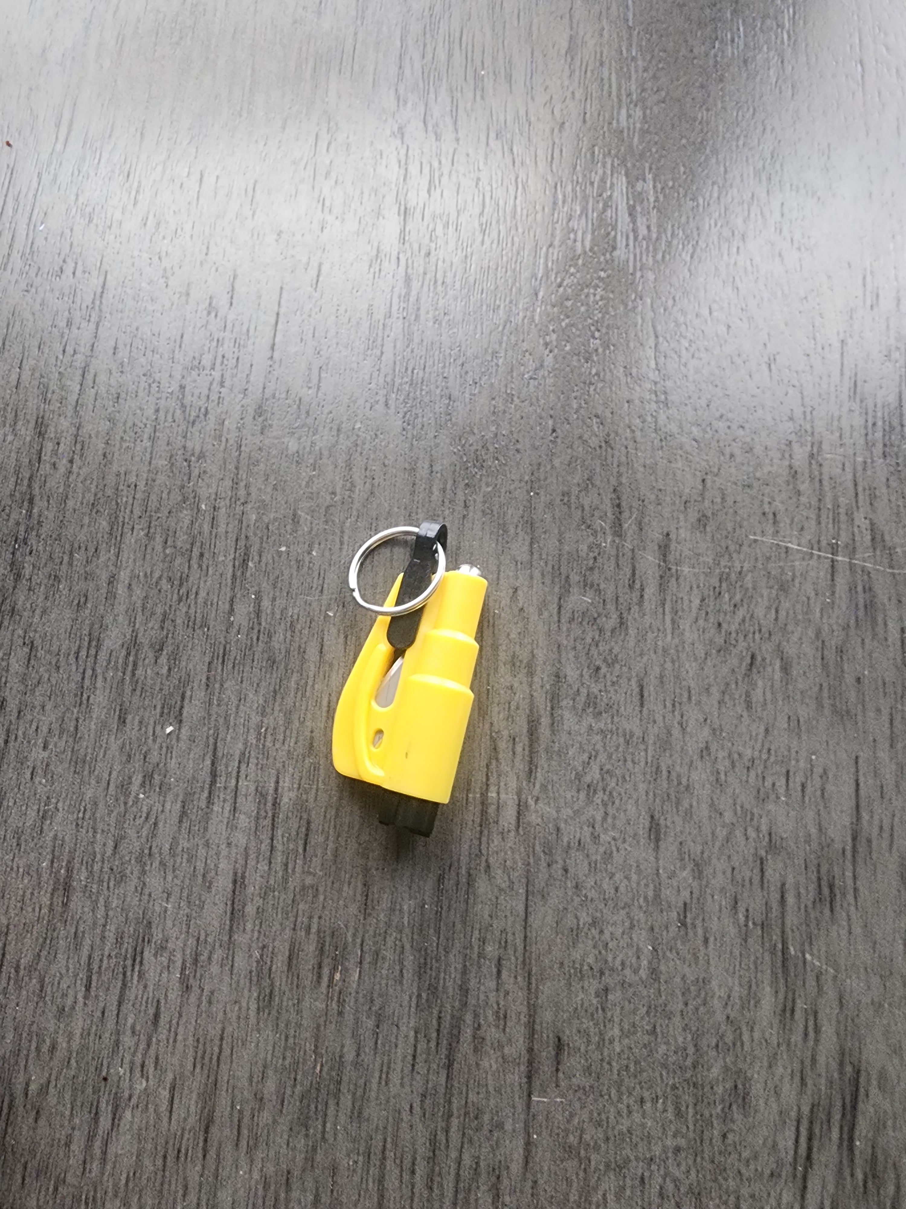 Seatbelt Cutters
